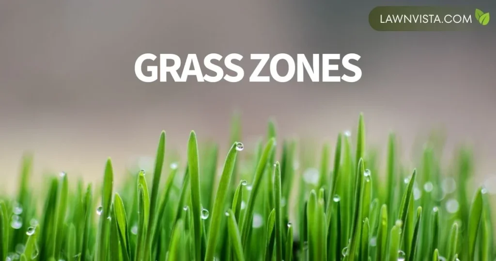 Illustrated guide showing healthy green grass with the title “Grass Zones” for lawn care and gardening education