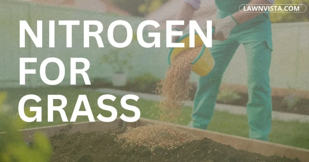 Healthy green lawn showing the effect of nitrogen for grass growth and deep green color