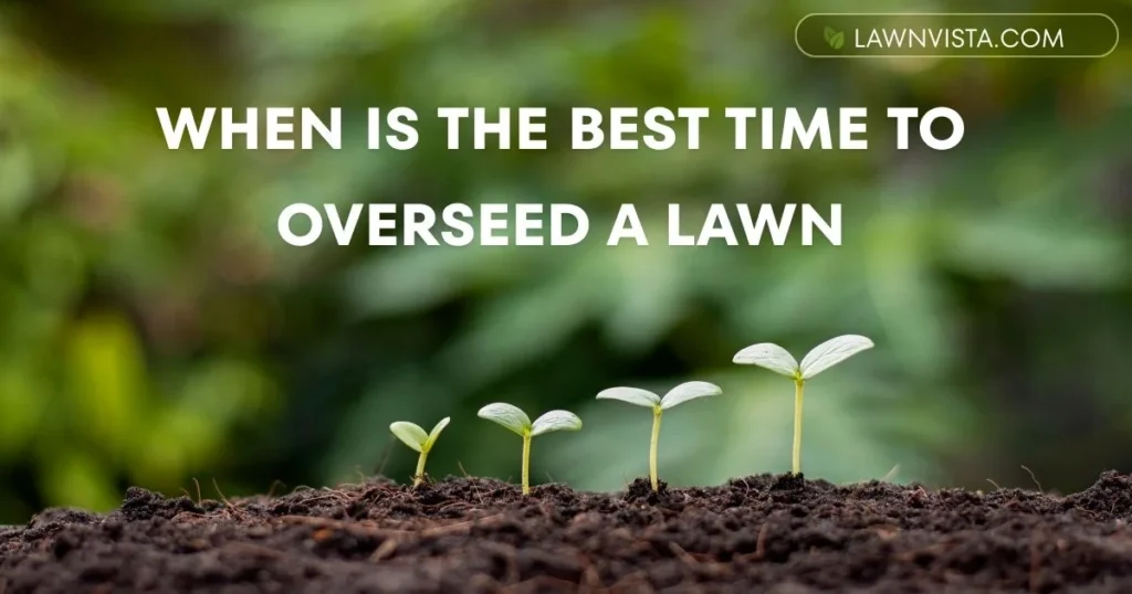 Illustrated seasonal guide showing the best time to overseed a lawn based on cooler and warmer growing seasons