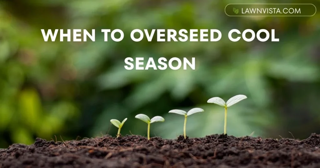 Illustrated guide showing the best time to overseed cool season grasses during early fall conditions