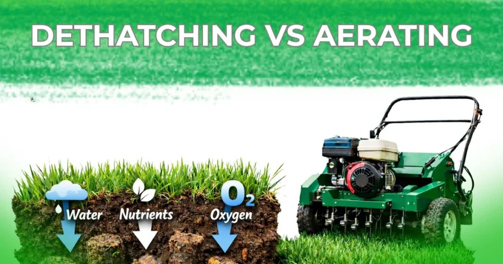 Comparison of dethatching and aerating lawn showing removal of thatch layer versus soil core plugs