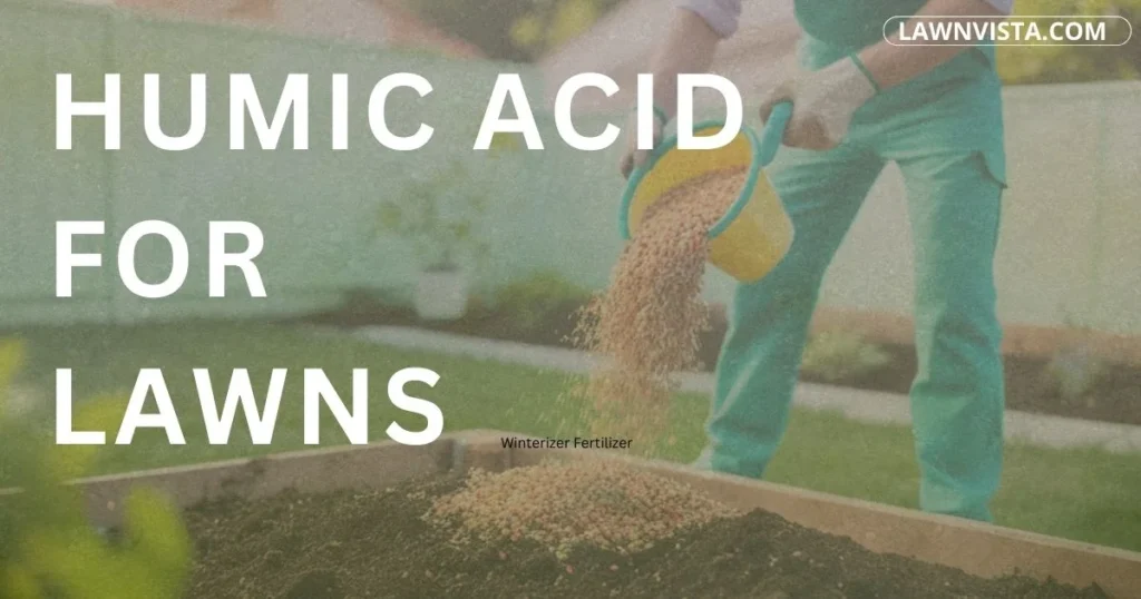 Healthy green lawn illustrating the benefits of humic acid for lawns and improved soil condition