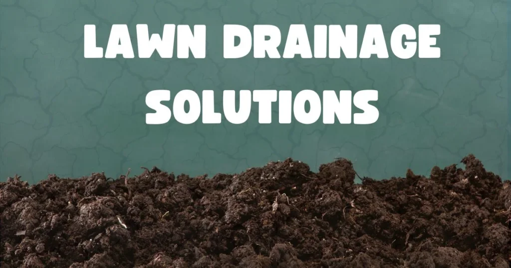 Lawn drainage solutions showing water flow channels and improved soil drainage to prevent standing water