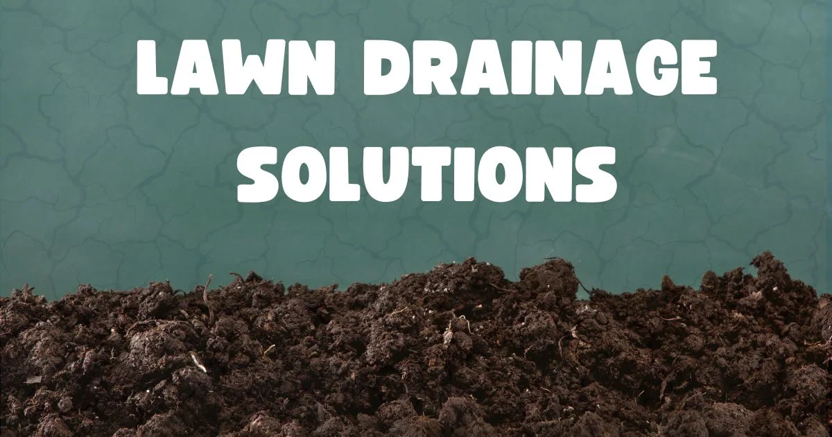 Lawn Drainage Solutions: How to Fix Standing Water Fast (Step-by-Step ...