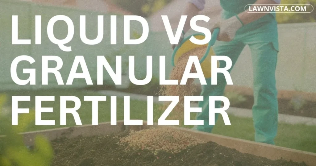 Comparison of liquid and granular fertilizer showing different application methods on lawn grass