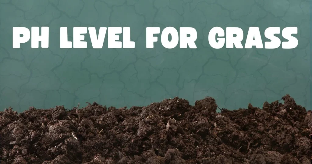 Lawn soil pH level test showing ideal pH range for healthy grass growth