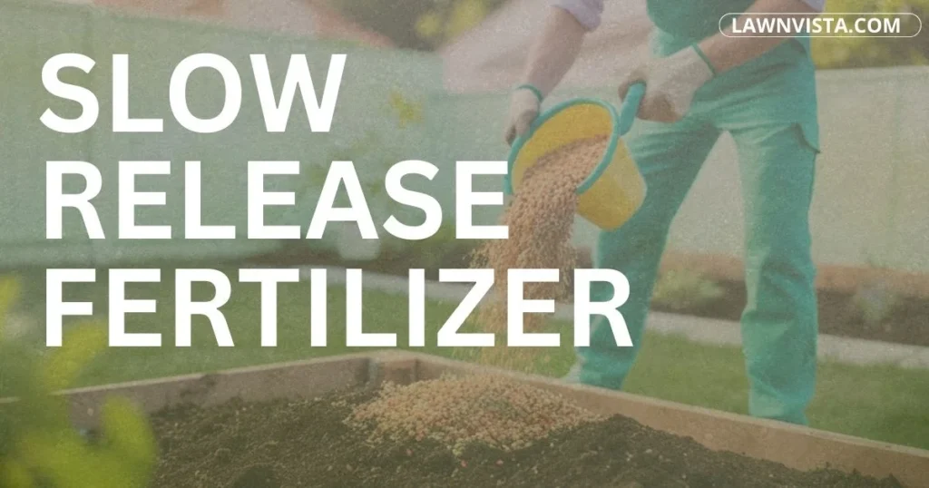 Slow release fertilizer granules feeding lawn grass gradually for steady and long lasting growth