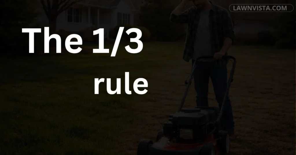 Lawn mowing illustration showing the one third rule by cutting only one third of grass height