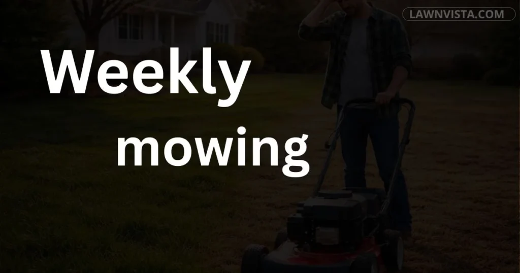 Lawn being mowed weekly to maintain proper grass height and healthy turf growth