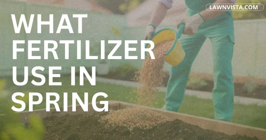 Spring lawn receiving fertilizer application showing healthy grass growth and seasonal lawn care