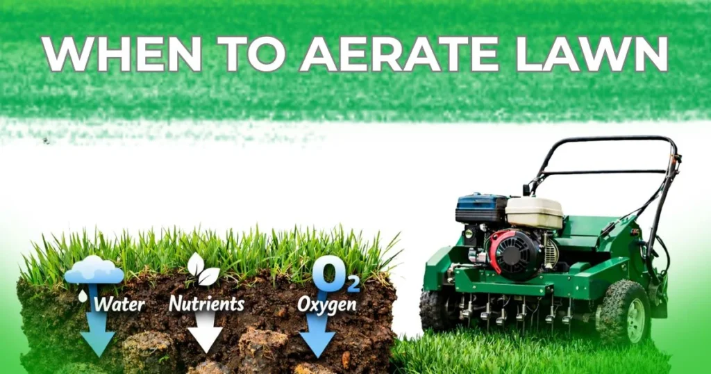 Seasonal guide showing the best time to aerate lawn for healthy grass growth