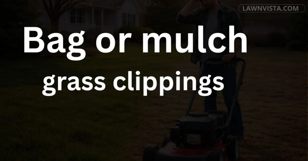 Lawn mowing showing grass clippings being bagged and mulched for lawn maintenance comparison
