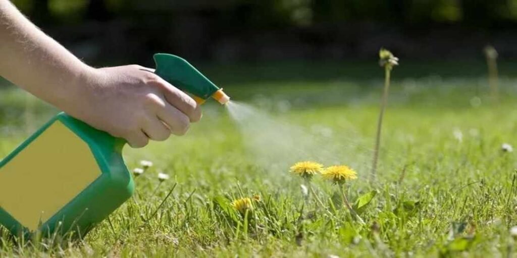 Natural Weed Killer