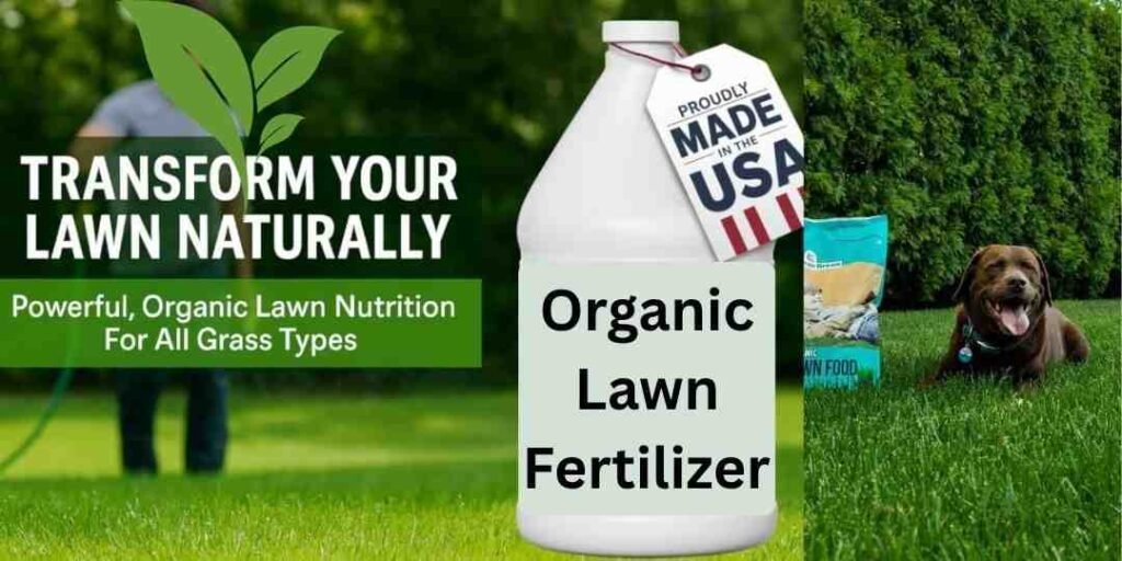 Organic lawn fertilizer