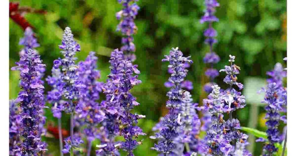 Incorporate Flowers into Your Outdoor Space
