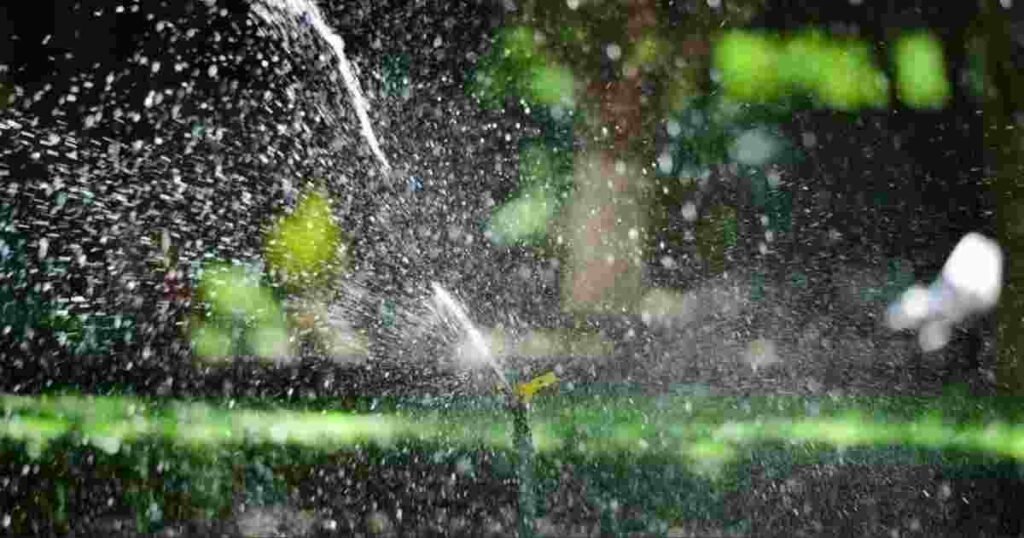 How to Spot Sprinkler Problems Before Your Garden Pays the Price