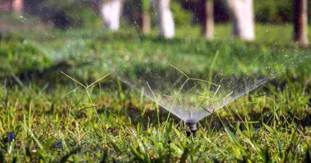 How to Protect Your Outdoor Space From Heat, Excess Moisture, and Pest Activity