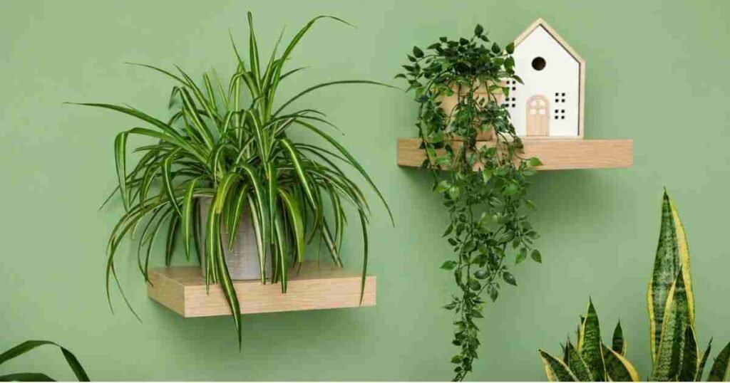 Small-Space Gardening Ideas for Urban Residents