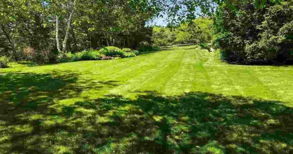 greener healthier lawn starts with better soil care