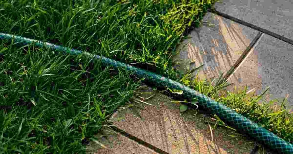 How to Keep Landscaping From Becoming a Home Maintenance Problem