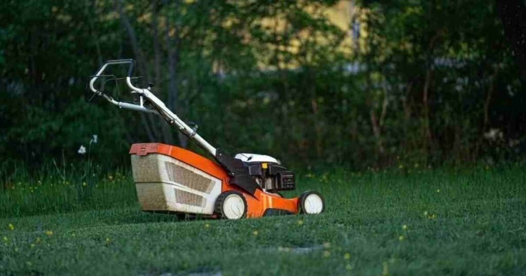 Mow Smarter, Not Longer: How to Make Lawn Maintenance Less of a Weekend Chore